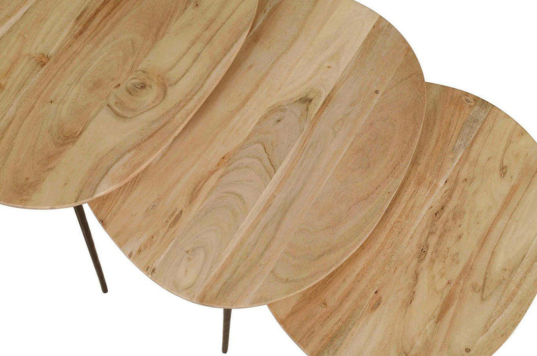 Reeves Living Room Nesting Table (Set of 3)