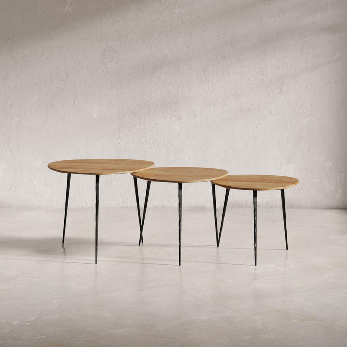 Reeves Living Room Nesting Table (Set of 3)