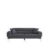 Sleeper Sofa (PMT 09)