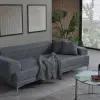Sleeper Sofa (PMT 09)